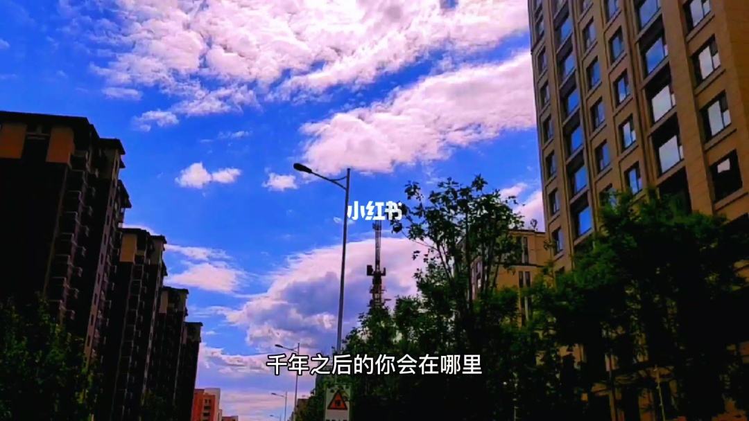 下一次(下一次油价调整时间)