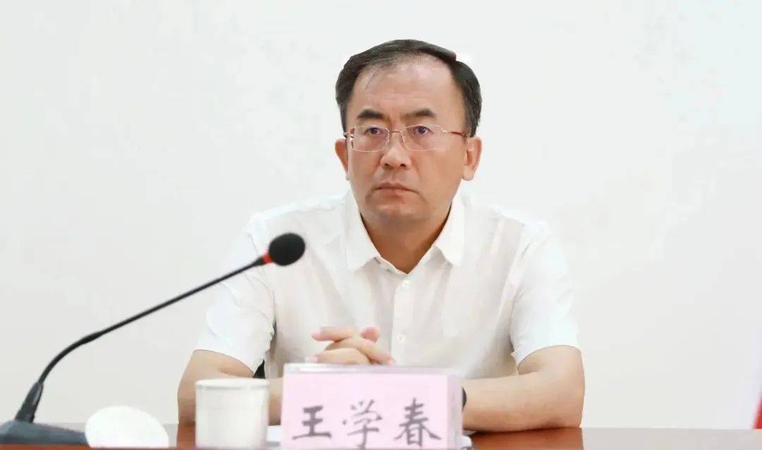 王学春(王学春 民生证券)