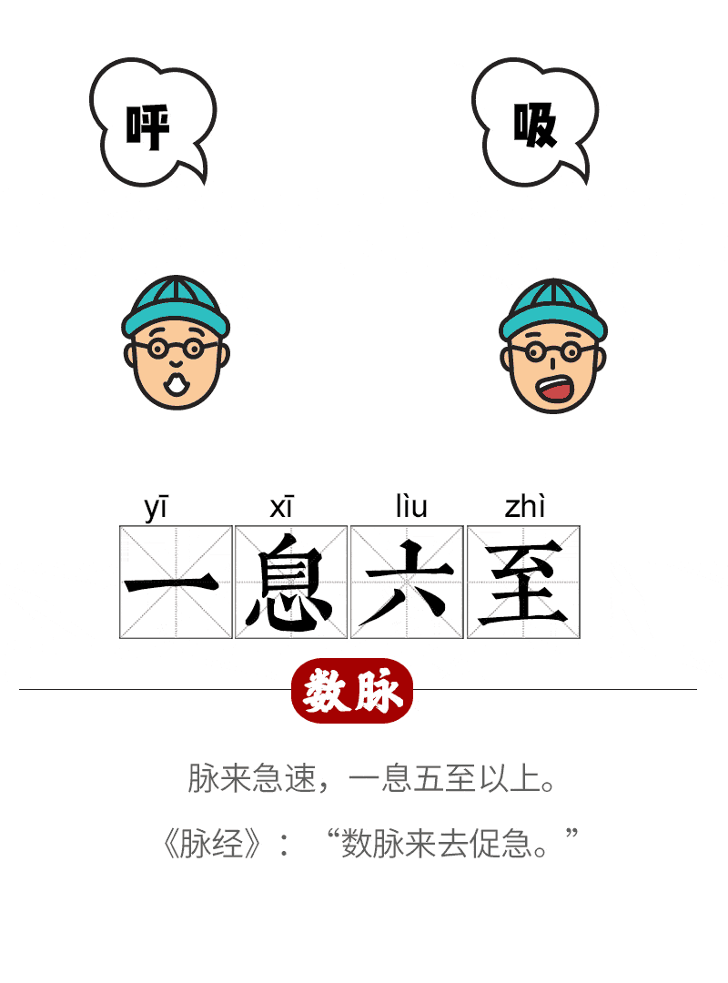 喜脉跳动图(一张图看懂喜脉)