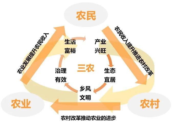 乡村产业振兴(乡村产业振兴的案例)