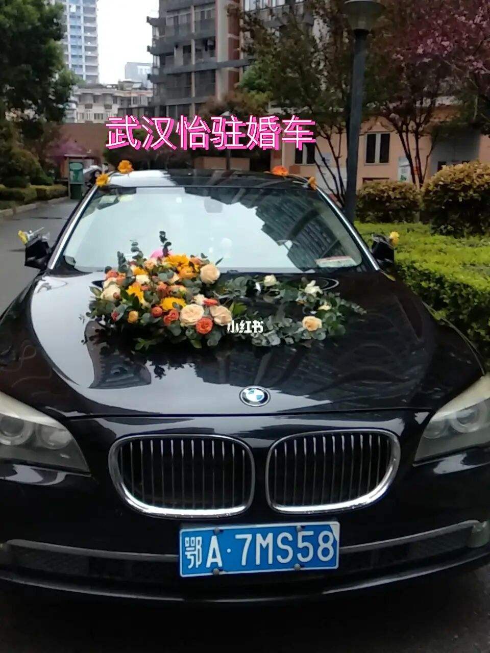 武汉车队(武汉车队处管处)