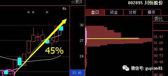 韦尔股份股票(韦尔股份股票做什么的)