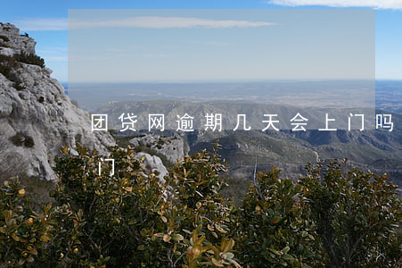 团贷(团贷网最新进展)