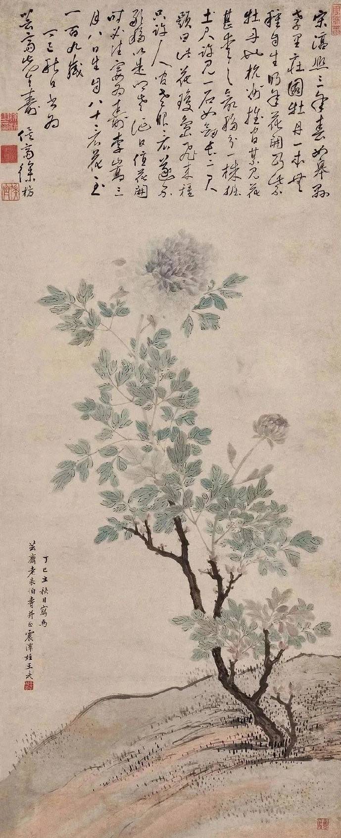王武(王武斌个人简历)