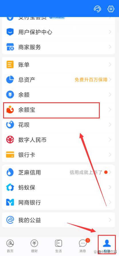 我的支付宝(我的支付宝账号在哪里找)