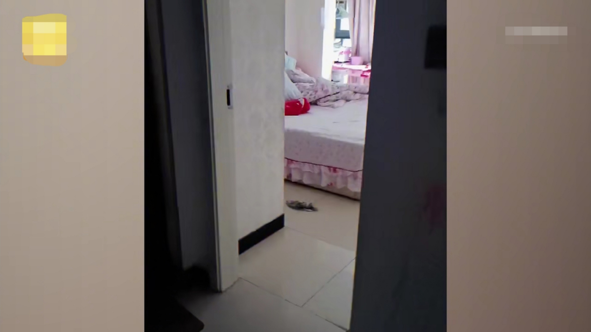 仙桃遇害女(仙桃发生命案)