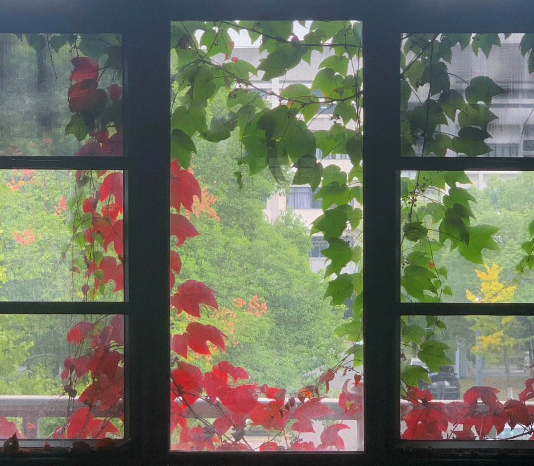 夏秋(夏秋之交是什么意思)