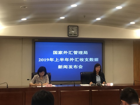 外管局(外管局外汇申报平台)