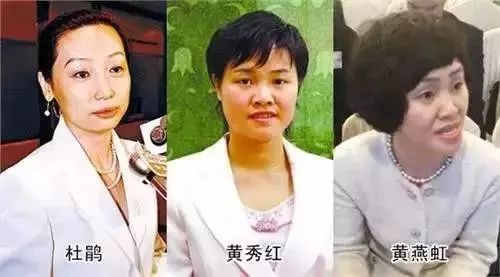 王欣出狱(王欣什么时候出狱)