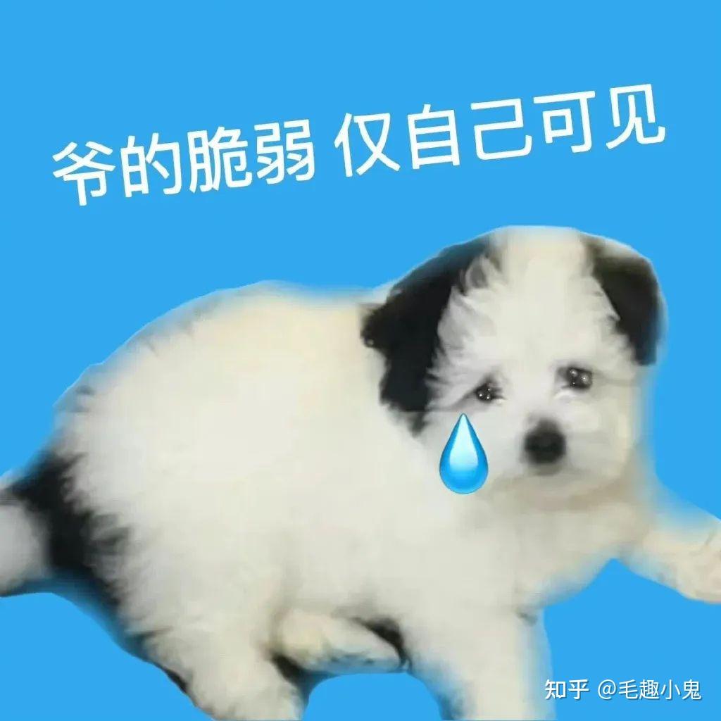 为什么什么乐(为什什么什么)