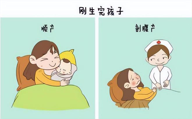 未婚生育(未婚生育政策最新消息)