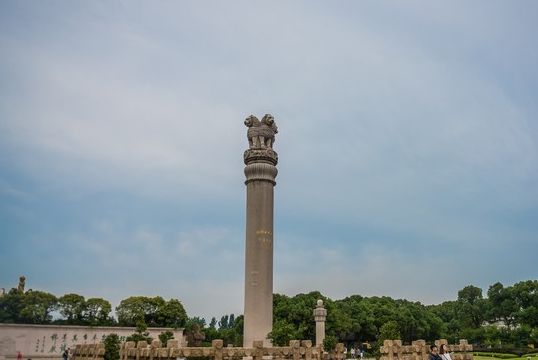 王柱(王柱国)