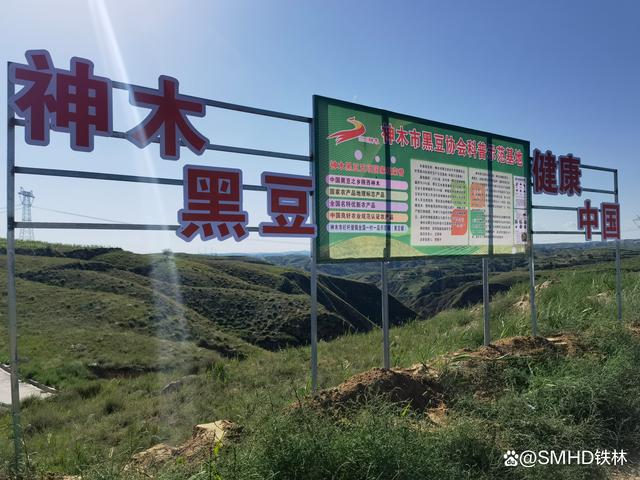 王铁林(张铁林国籍)