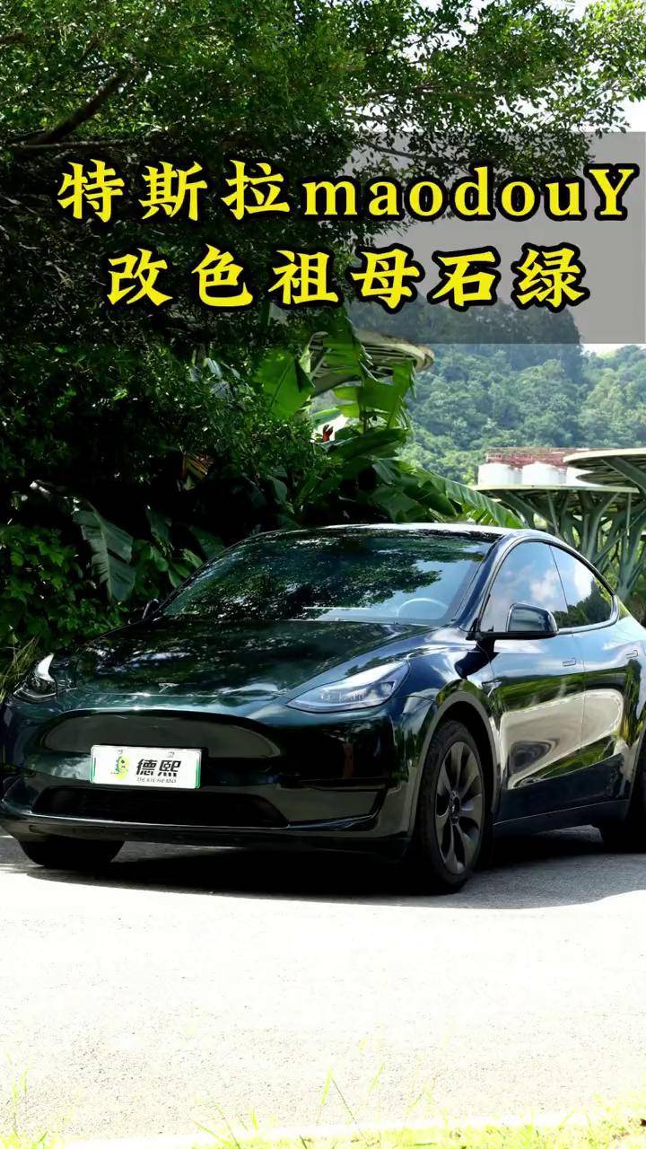 特斯拉德(特斯拉德国销量)